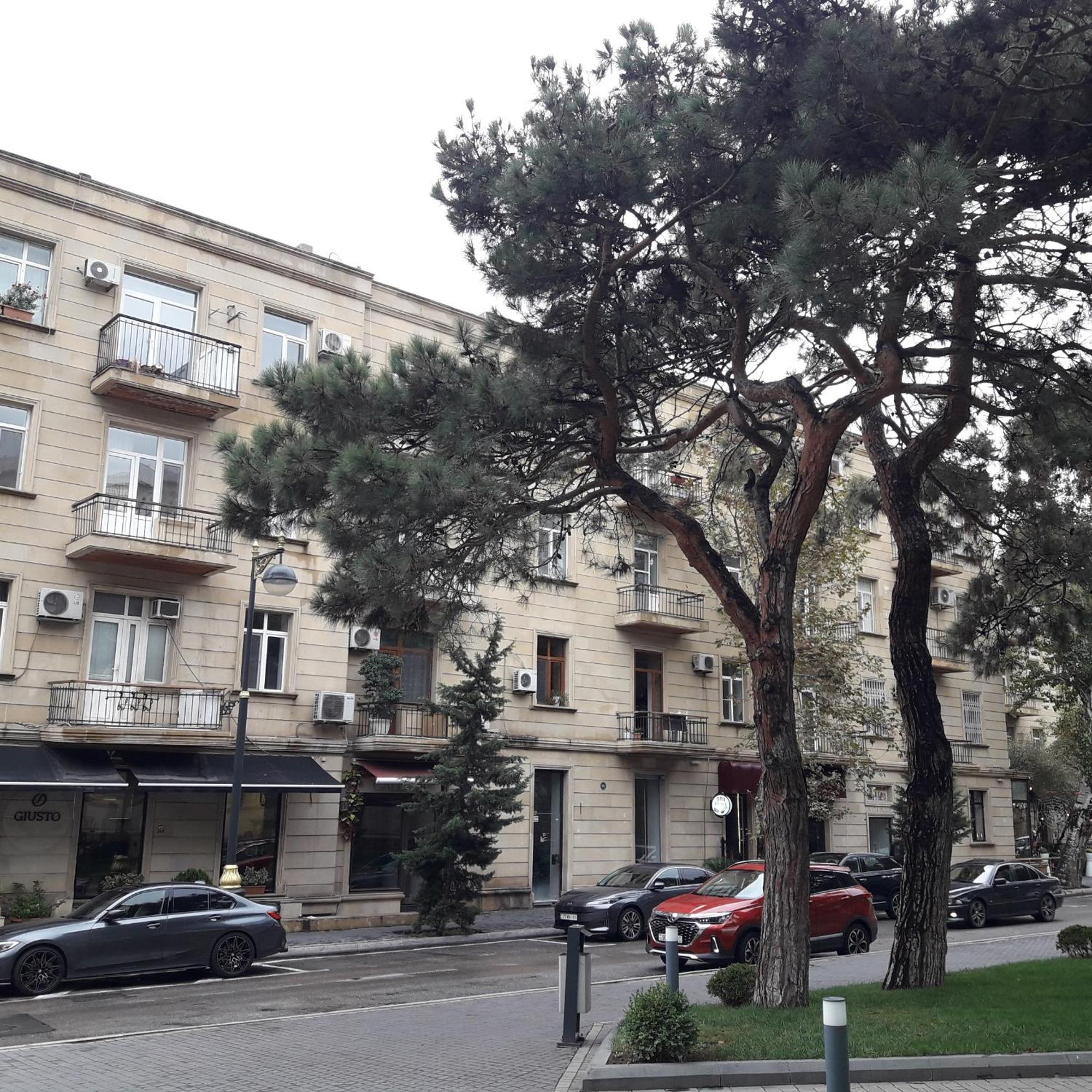 Apartment Niyazi 5 Baku Exterior foto